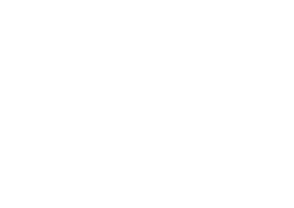 The Derrick Crossers Schoonebeek
